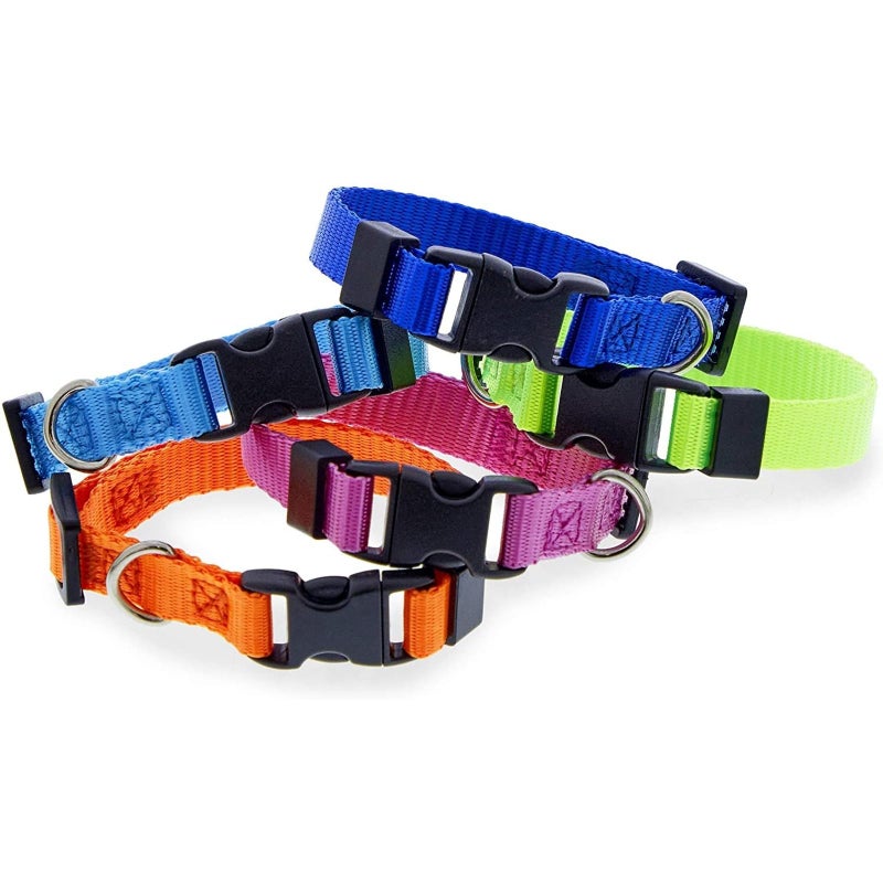 Okuna Outpost Puppy Collars - Quick-Release Buckle - Color-Coded Adjustable Puppy ID Collar - 6.5-10 in, Multicolor, Pack of 16 - Image 5